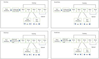 Real-time changes in brain activity during tibial nerve stimulation for overactive bladder: Evidence from functional near-infrared spectroscopy hype scanning